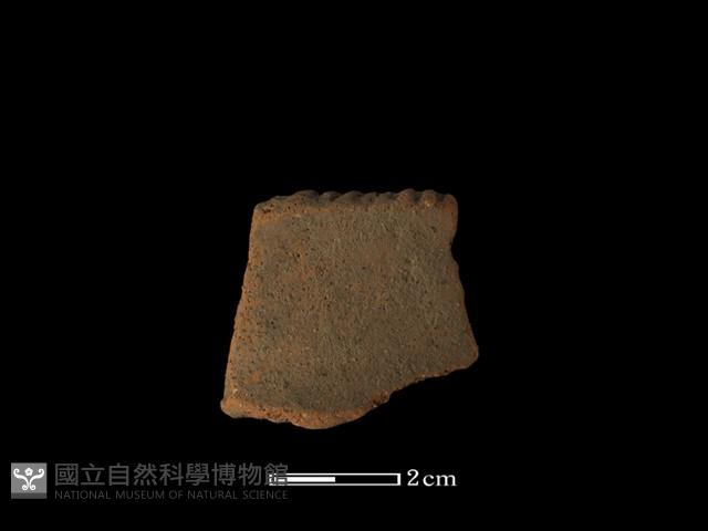 陶片藏品圖，第1張