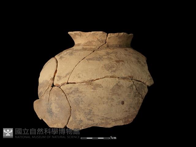 陶罐藏品圖，第1張