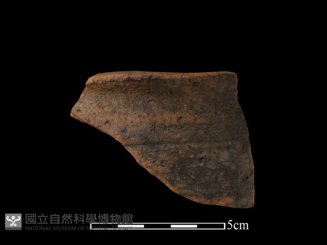 陶片藏品圖，第2張