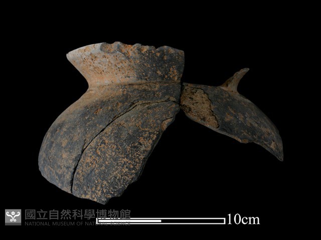 陶罐藏品圖，第2張