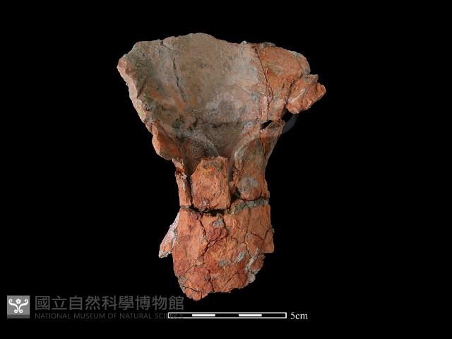 連杯形器藏品圖，第1張