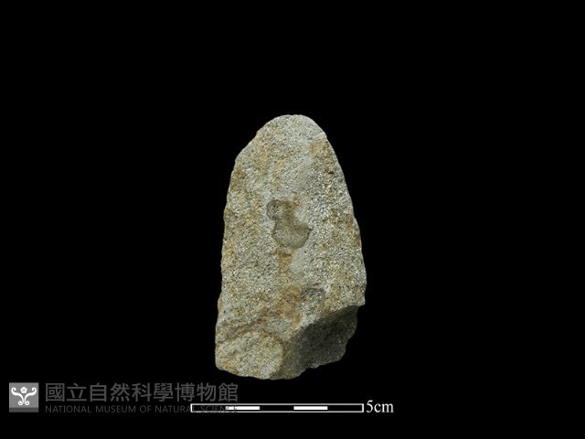 斧鋤形器藏品圖，第1張