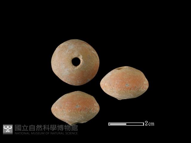 紡輪藏品圖，第1張