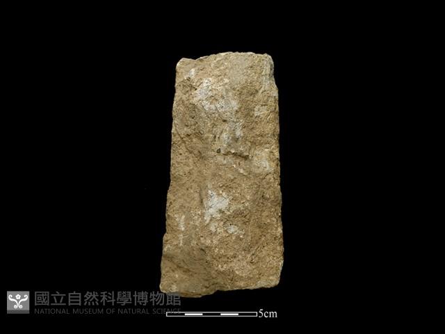 斧鋤形器藏品圖，第2張