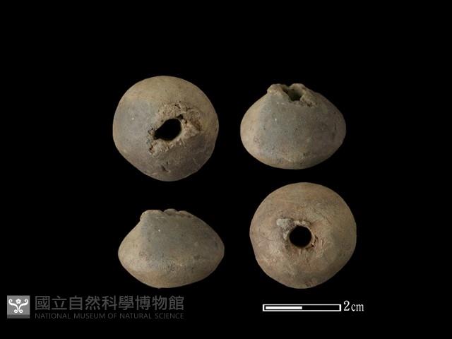 紡輪藏品圖，第1張