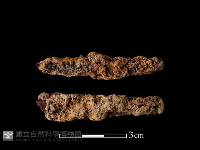 尖器藏品圖，第1張