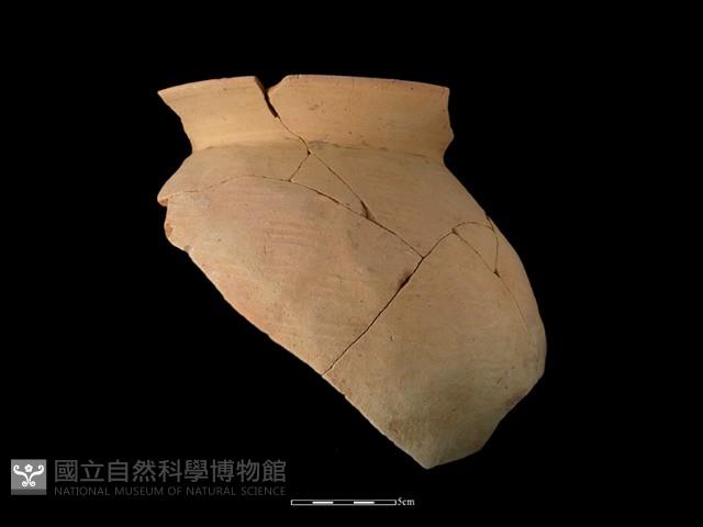 陶罐藏品圖，第2張