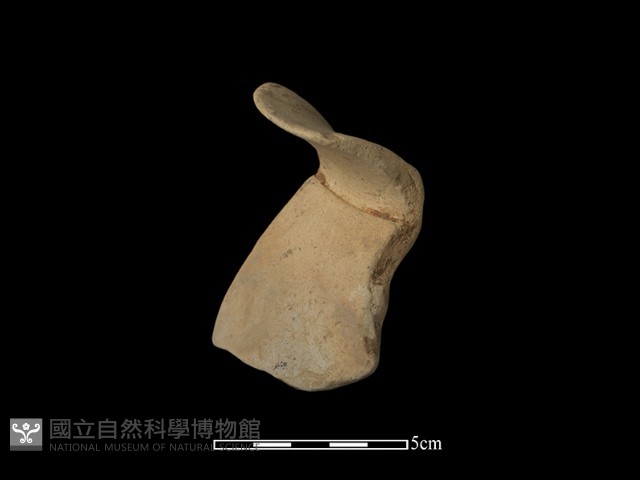 陶罐藏品圖，第1張