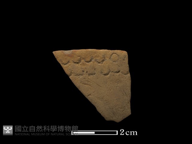陶片藏品圖，第2張