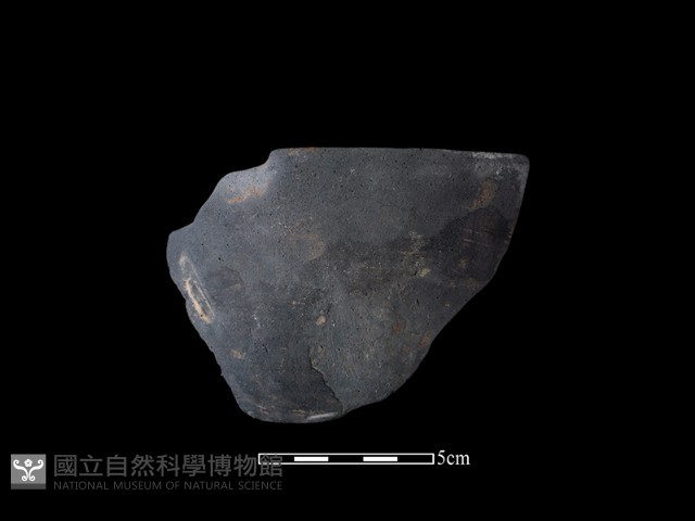 陶缽藏品圖，第1張