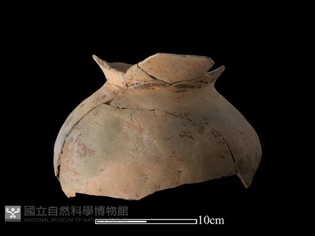 陶罐藏品圖，第2張