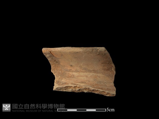 陶罐藏品圖，第1張