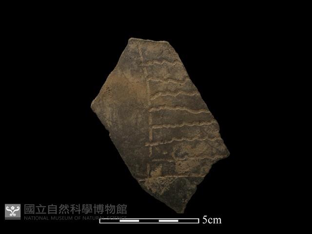 陶片藏品圖，第2張