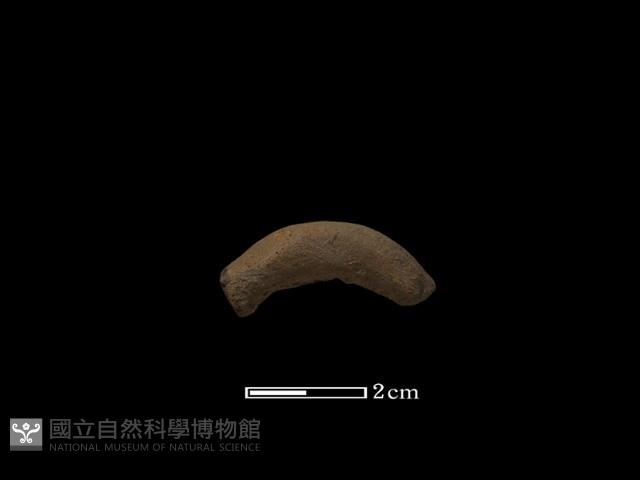 陶耳藏品圖，第1張