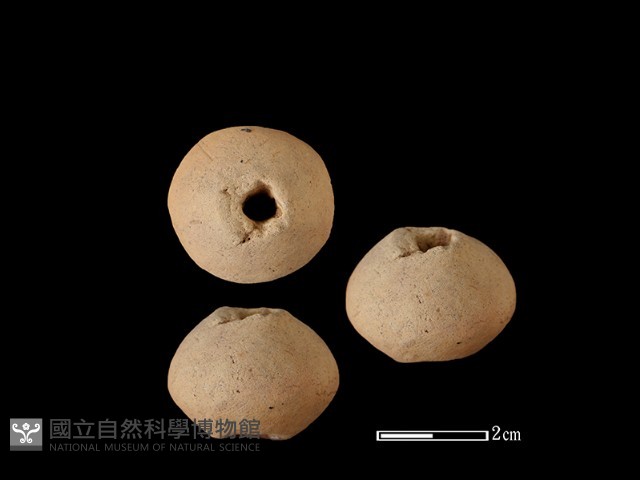 紡輪藏品圖，第1張