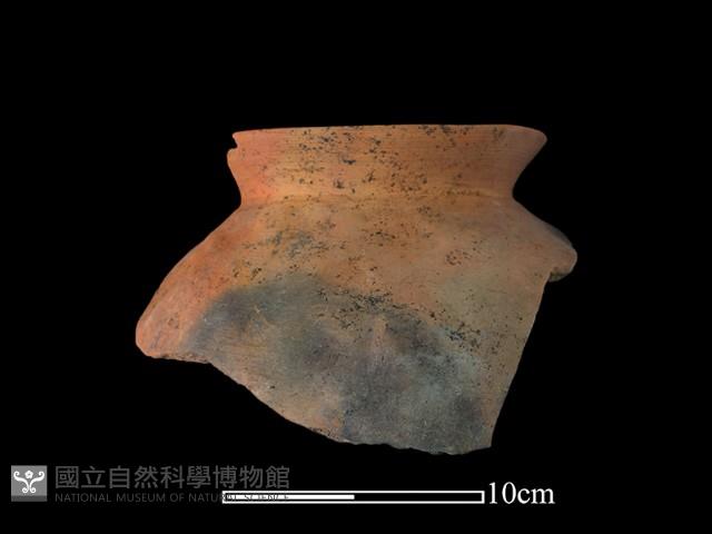 陶罐藏品圖，第1張