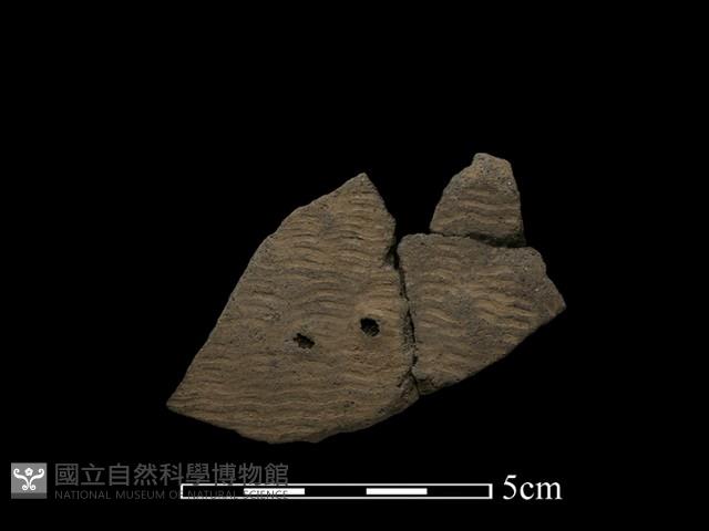 陶片藏品圖，第1張