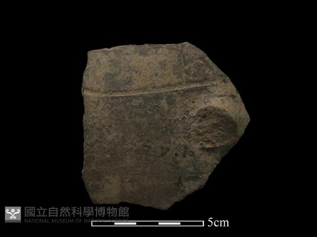 陶片藏品圖，第1張