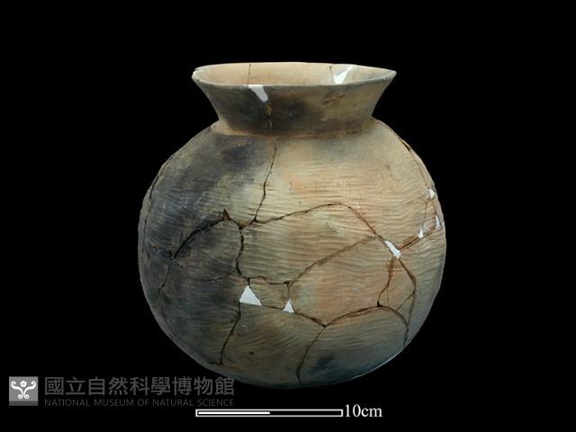 陶罐藏品圖，第2張