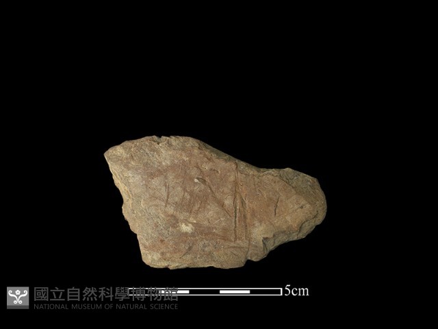 帶加工痕石材藏品圖，第1張