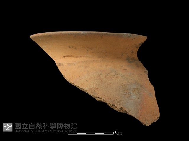 陶罐藏品圖，第2張