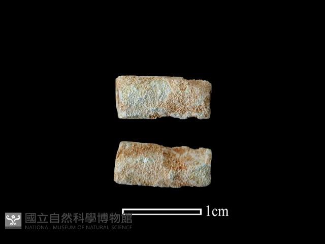 玻璃珠藏品圖，第1張