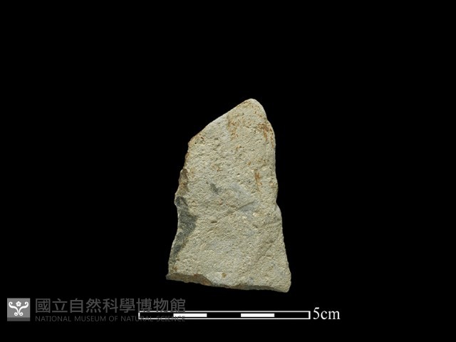 斧鋤形器藏品圖，第2張