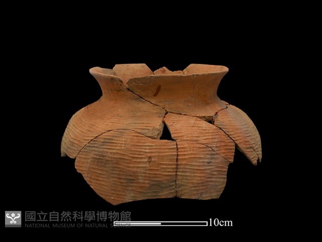 陶罐藏品圖，第2張