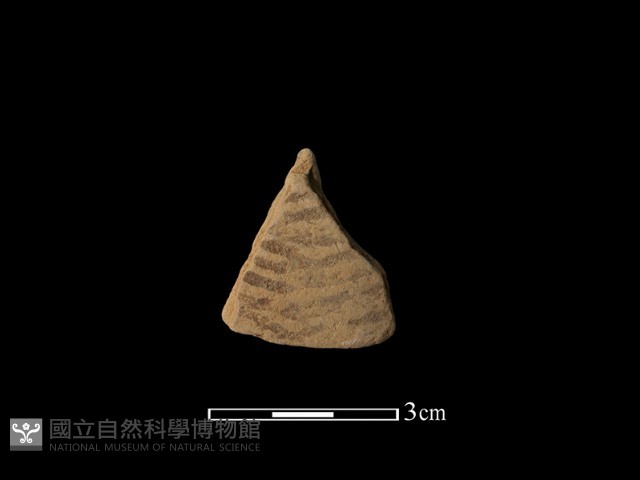 陶罐藏品圖，第1張