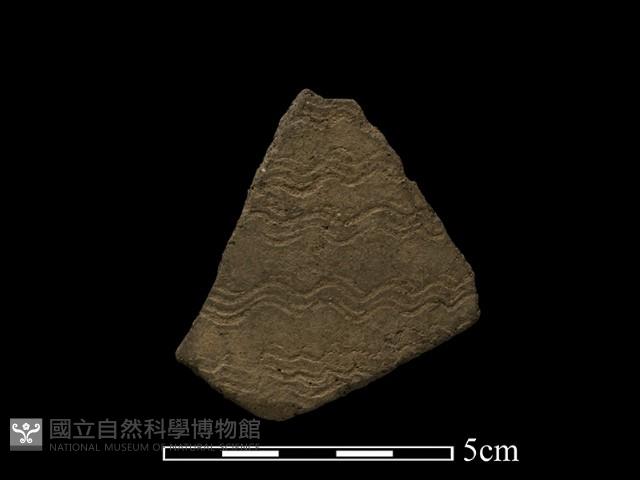 陶片藏品圖，第1張