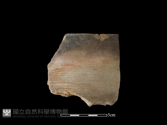 陶罐藏品圖，第1張