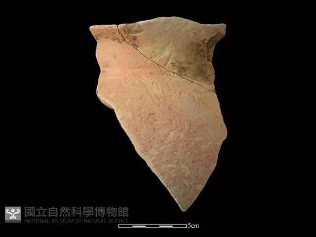 陶罐藏品圖，第1張