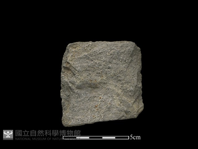 斧鋤形器藏品圖，第2張