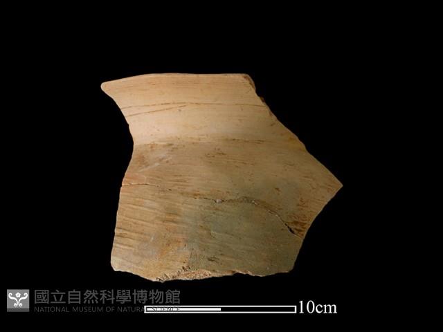 陶罐藏品圖，第2張