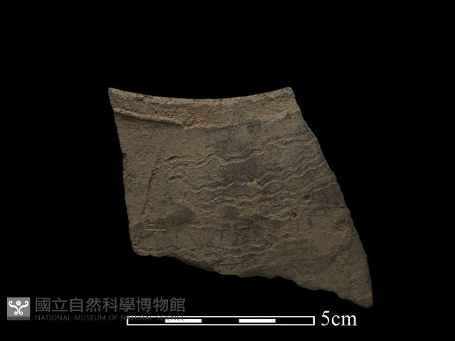 陶片藏品圖，第2張