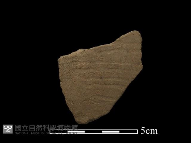 陶片藏品圖，第2張