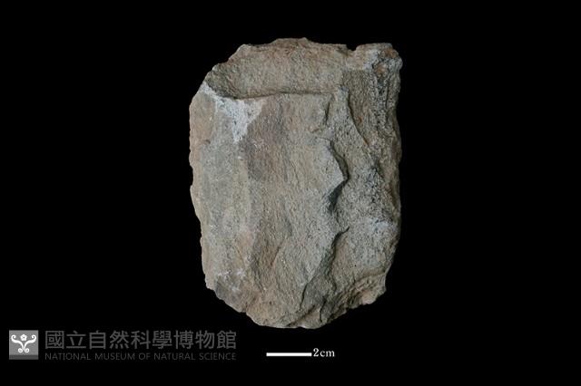 斧鋤形器藏品圖，第2張