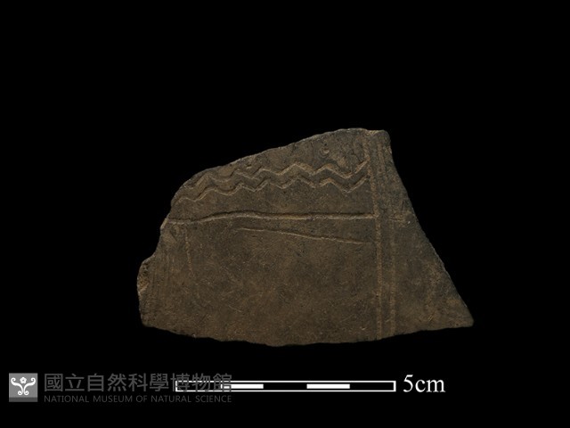 陶片藏品圖，第2張