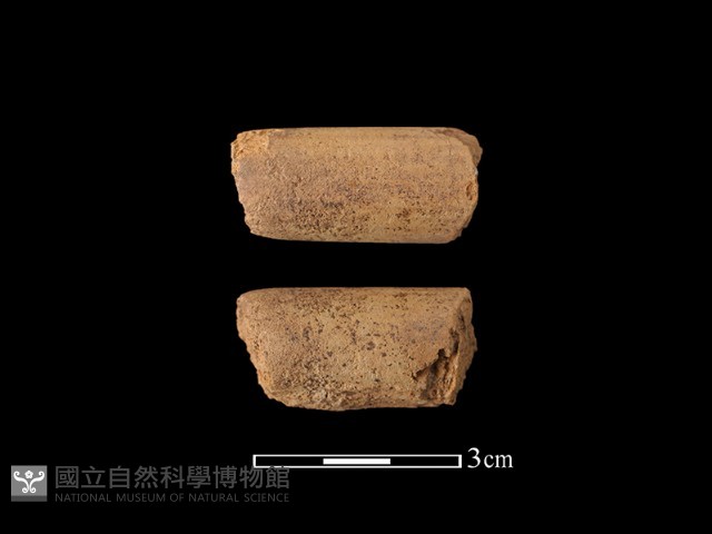 陶片藏品圖，第2張