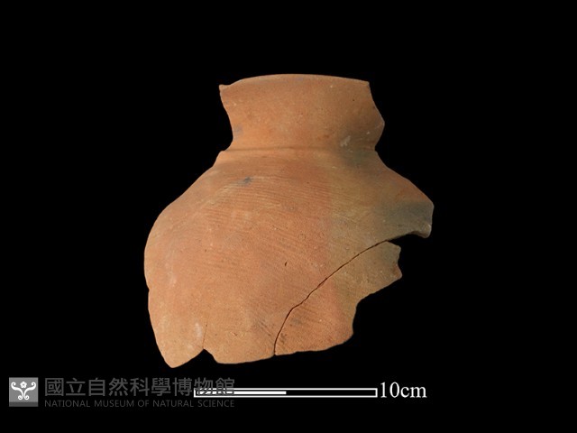 陶罐藏品圖，第1張