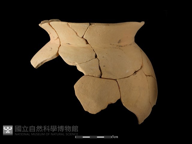 陶罐藏品圖，第1張