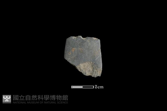 矛鏃形器藏品圖，第2張