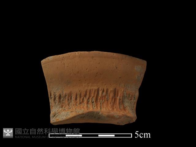 陶罐藏品圖，第2張