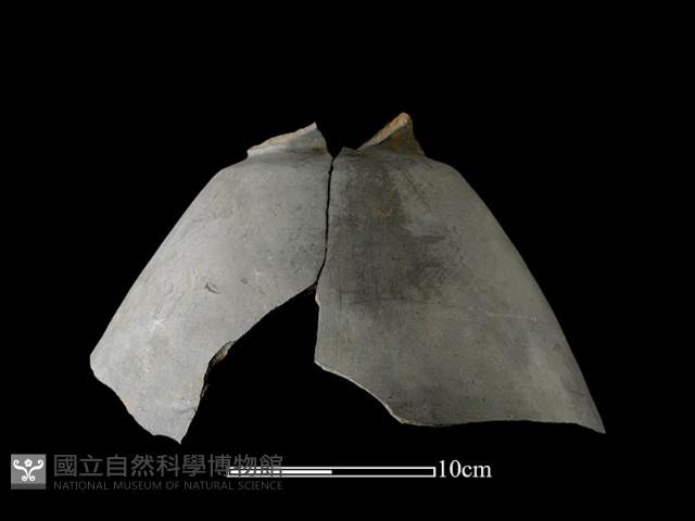 陶罐藏品圖，第2張