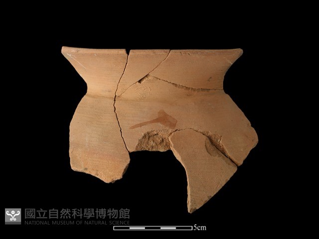 陶罐藏品圖，第2張