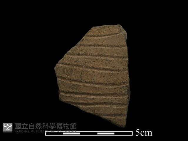 陶片藏品圖，第1張