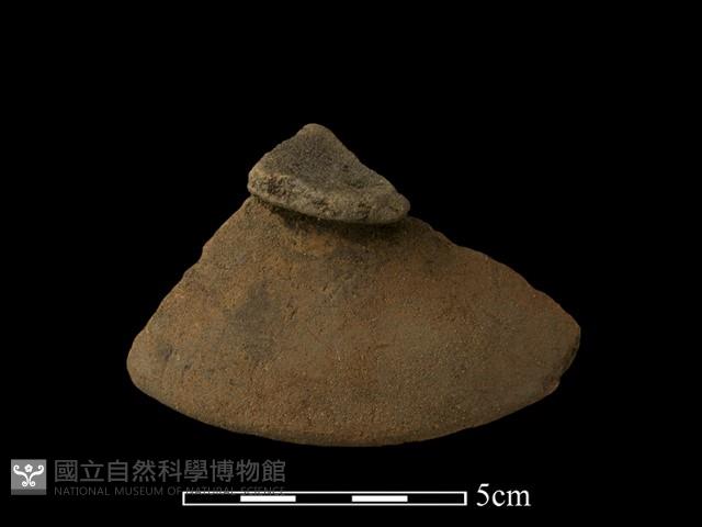 陶片藏品圖，第1張