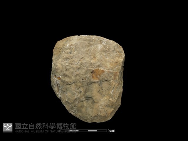 石球藏品圖，第2張
