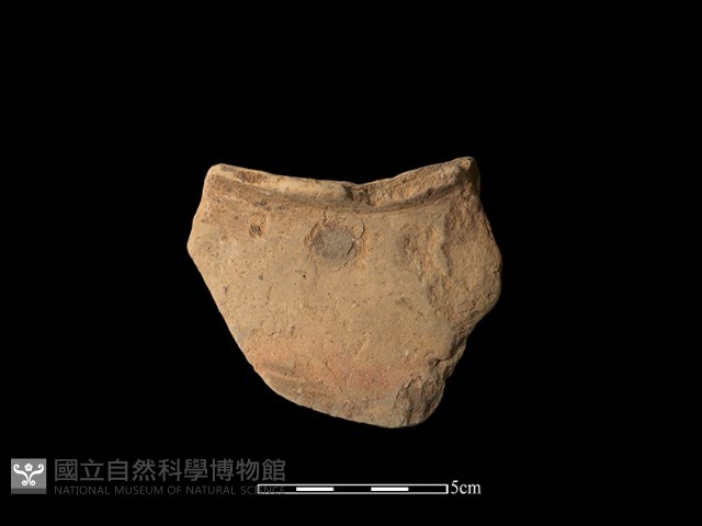 陶罐藏品圖，第1張