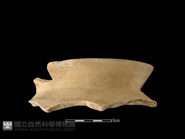 陶罐藏品圖，第2張